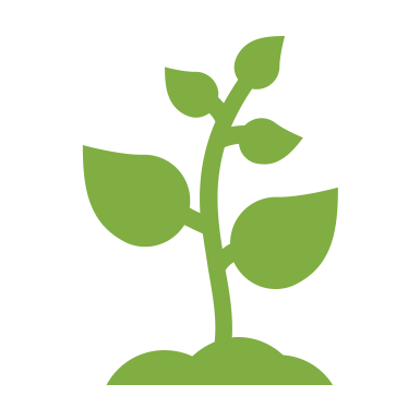 Wildflower icon